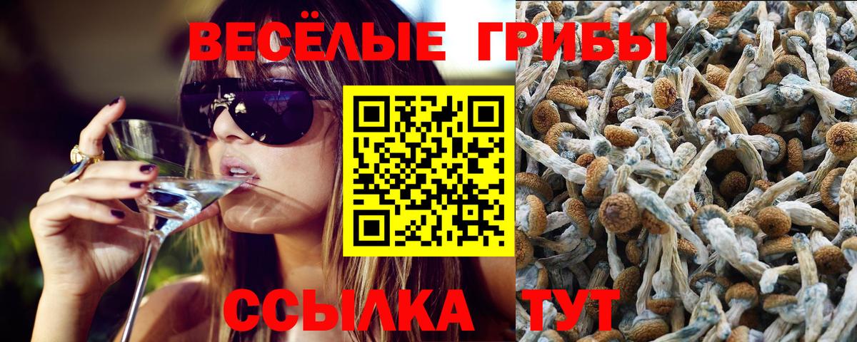 Гашиш Донской